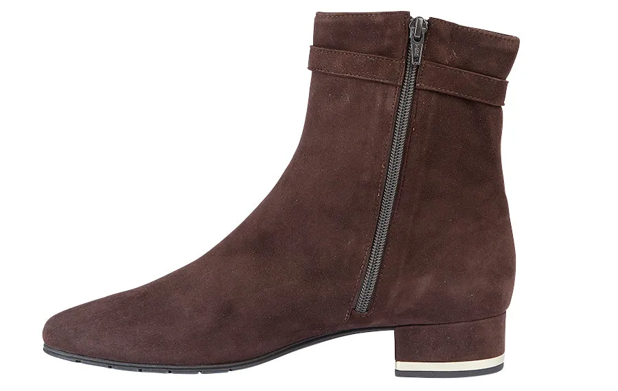 Br Capricorn Brown