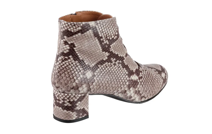 P&J Python