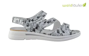 Wal Butterfly