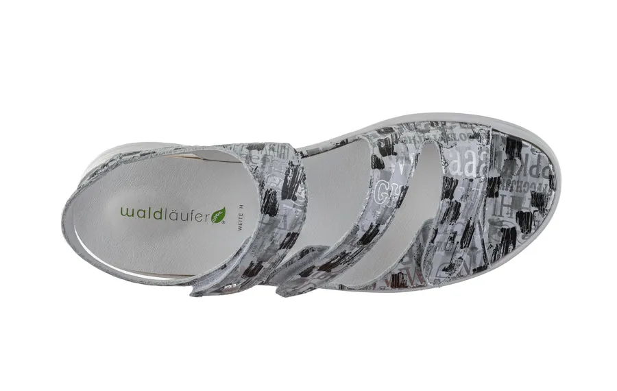 Wal Butterfly