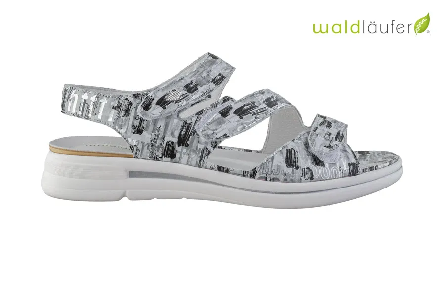 Wal Butterfly
